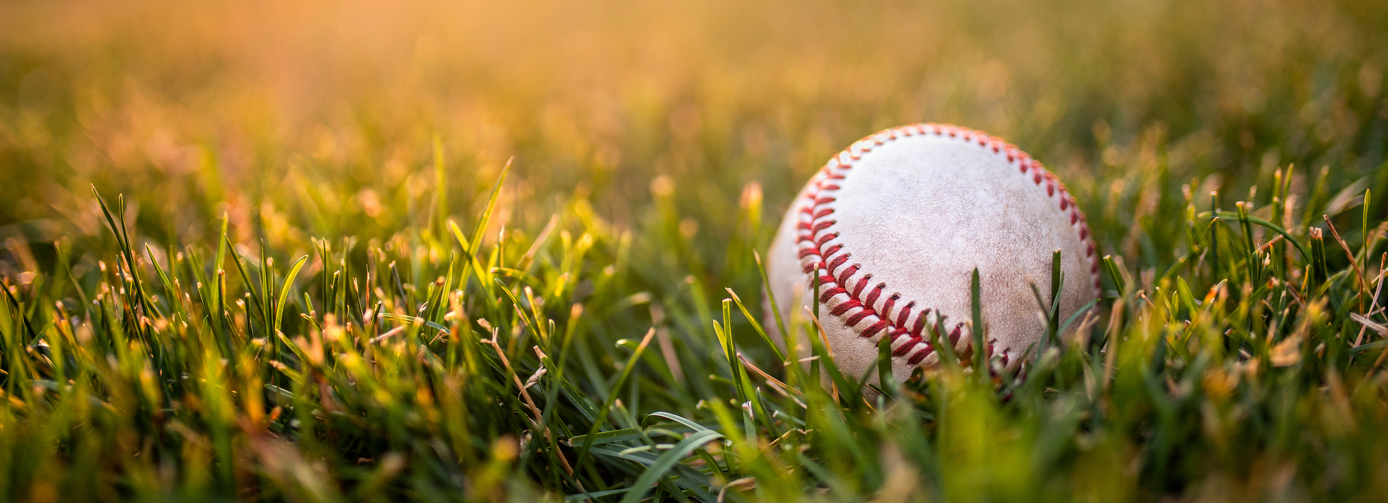 Ein Baseball liegt auf dem Rasen, die Stimmung ist in warmes Sonnenlicht getaucht | © AdobeStock.Reipert